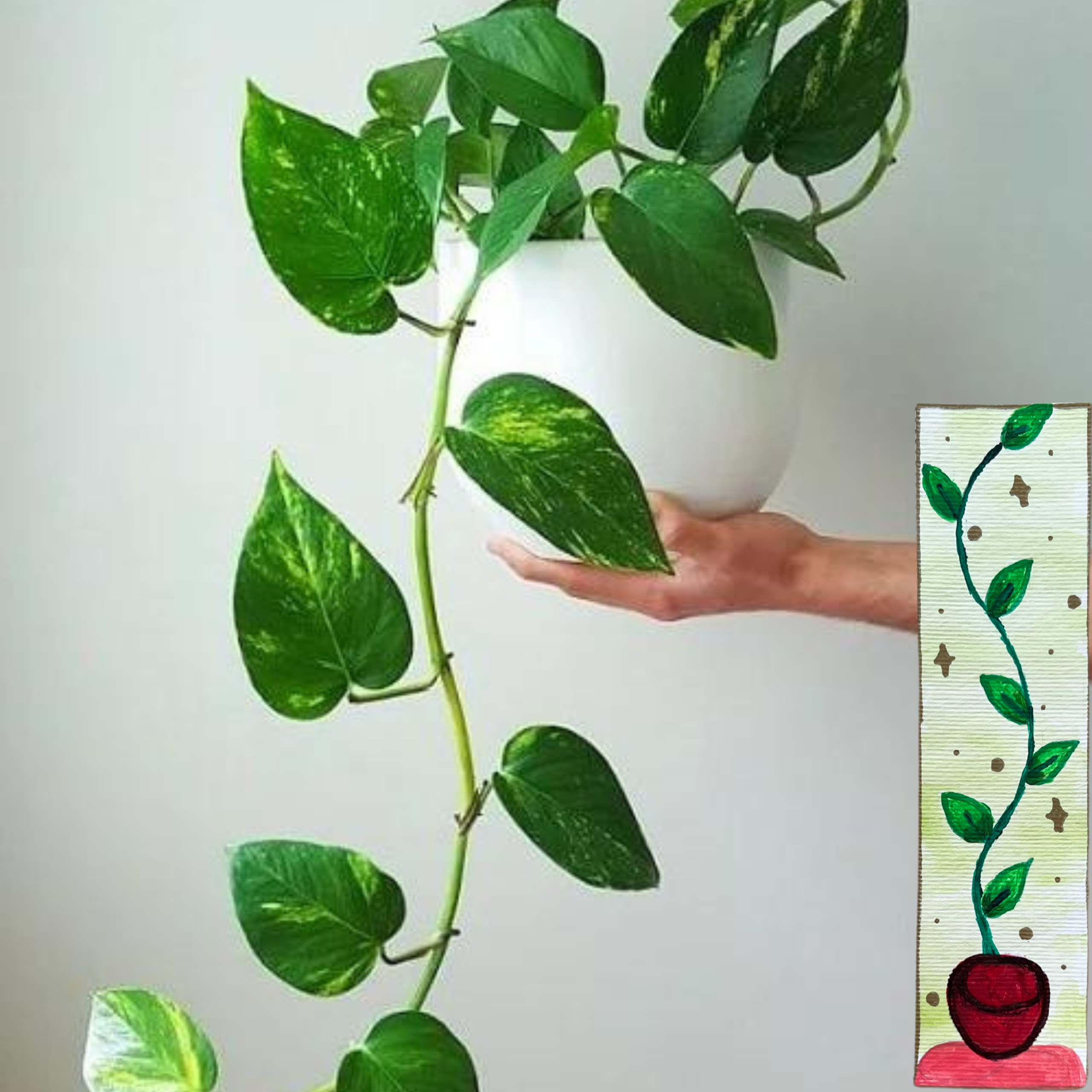 Plant Bookmark - Image 2