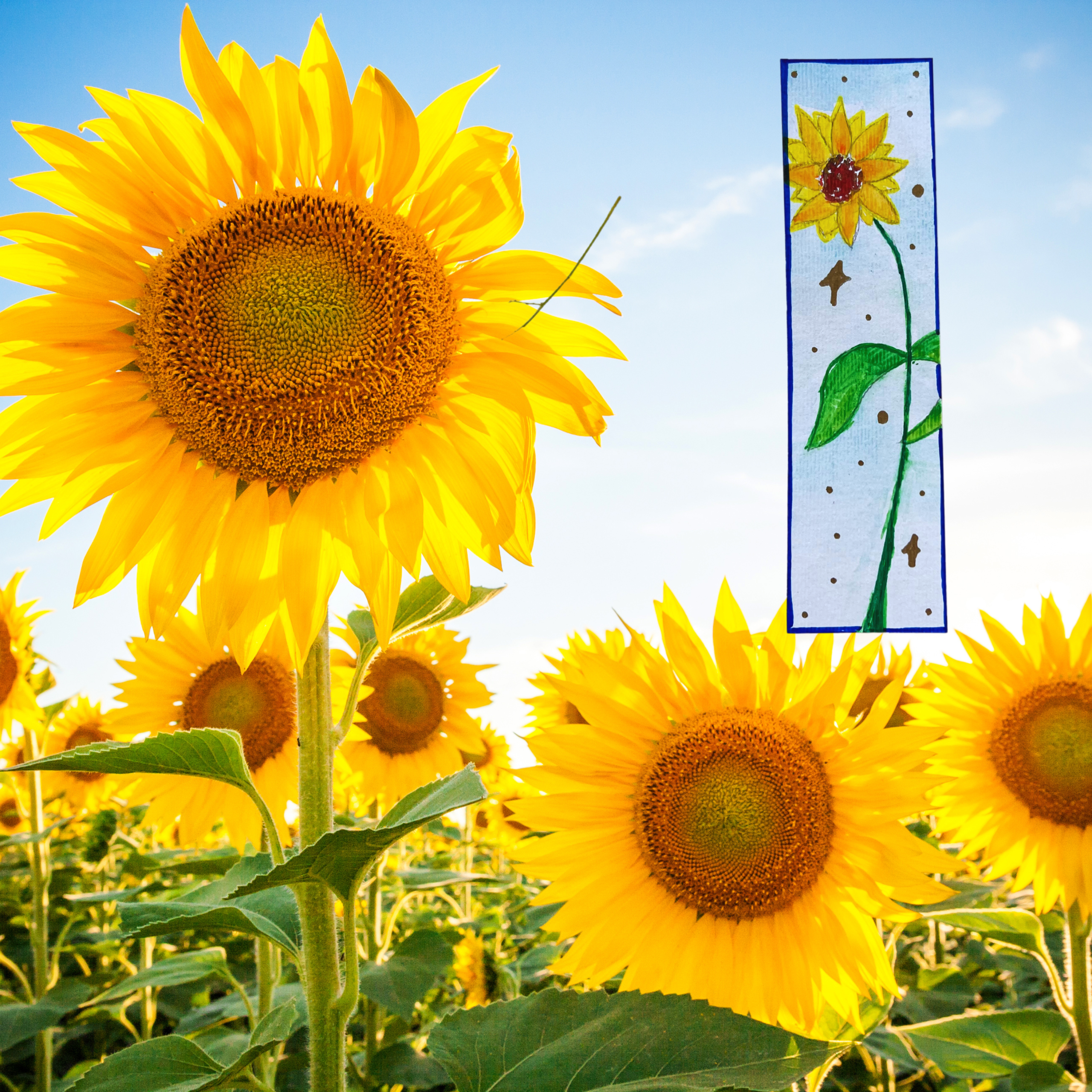 Sunflower Bookmark - Image 4