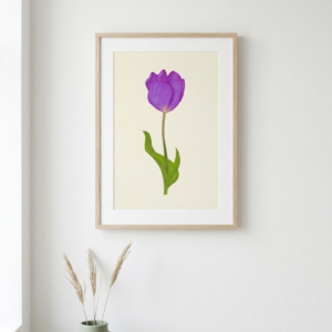 tulip